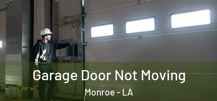  Garage Door Not Moving Monroe - LA