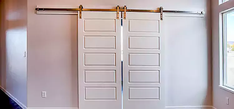 Glass Barn Door with Installation Hardware Kit Monroe